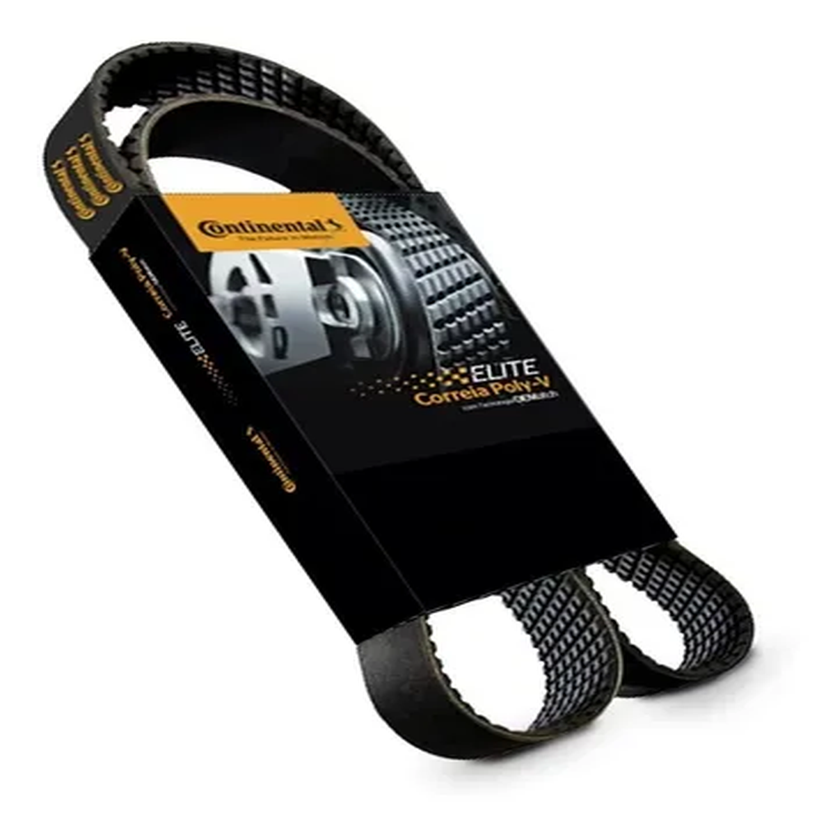 Correia Automotiva Poly V CONTITECH FH FH