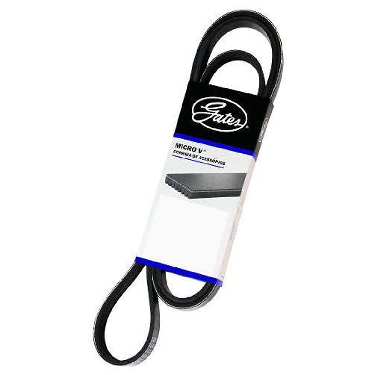 Correia em V 8PK1545 Gates - R R