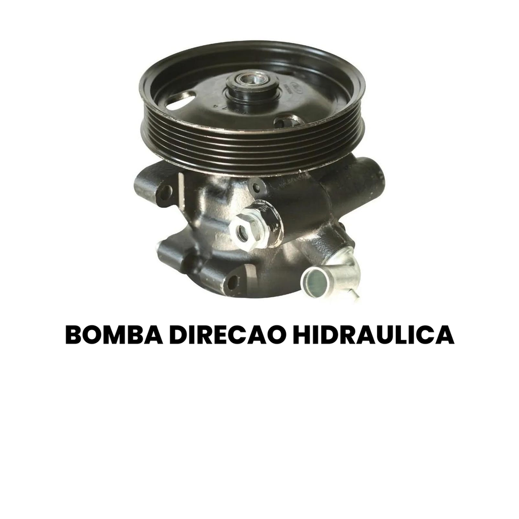 Bomba Direção Hidráulica AMPRI - Ecosport - Imagem 2