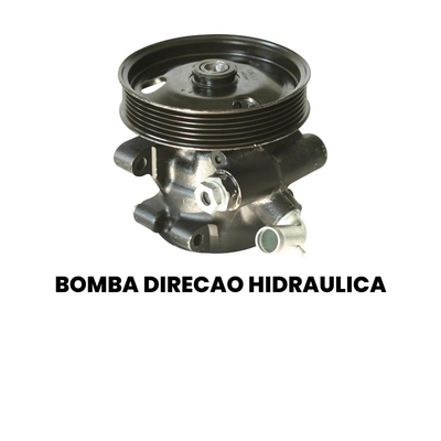Bomba Direção Hidráulica AMPRI - Ecosport - Imagem 2