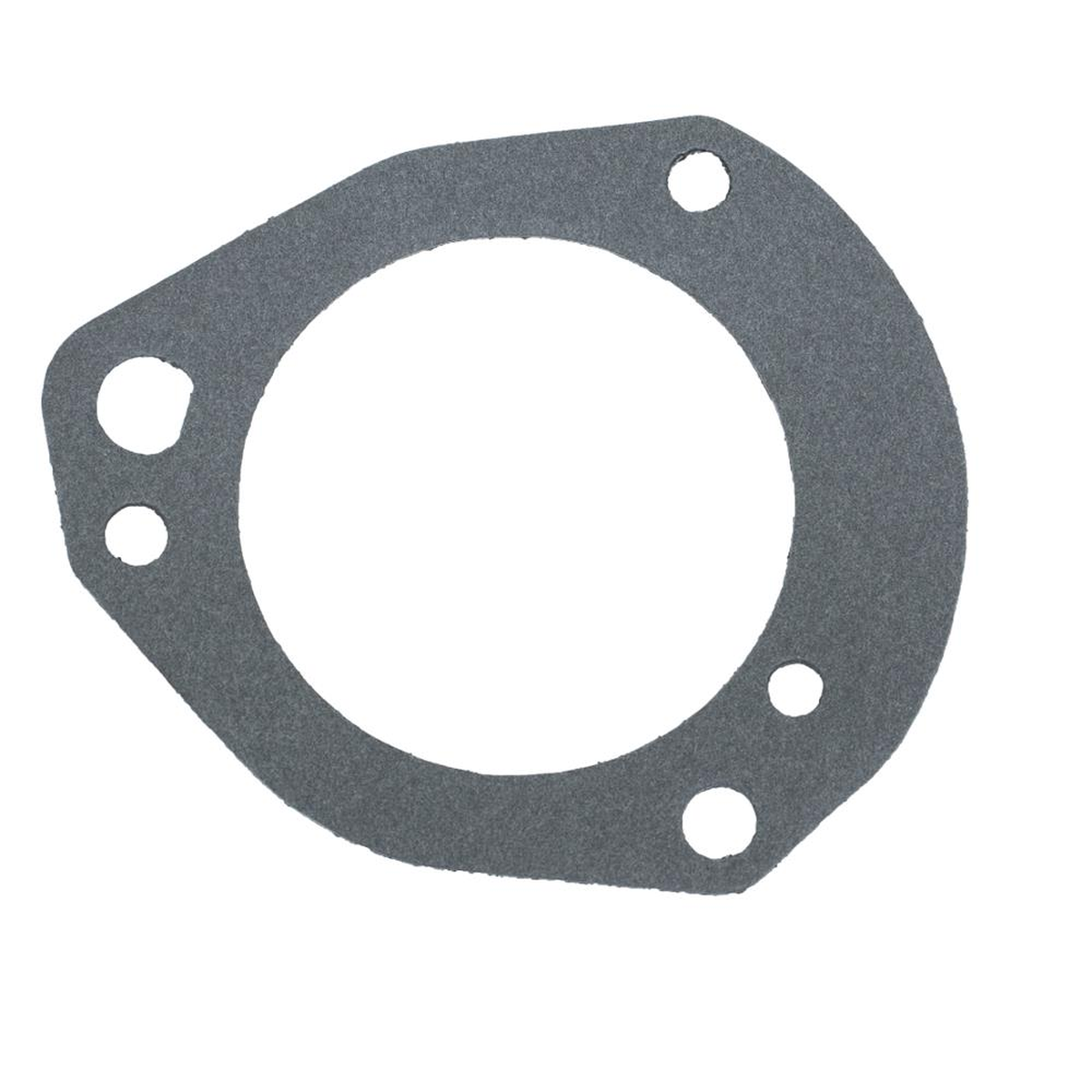 JUNTA BOMBA COMBUSTÍVEL Cargo 2000-2009