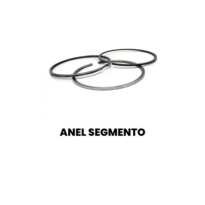 Anel Segmento Standard Volkswagen Constellation - Imagem 2