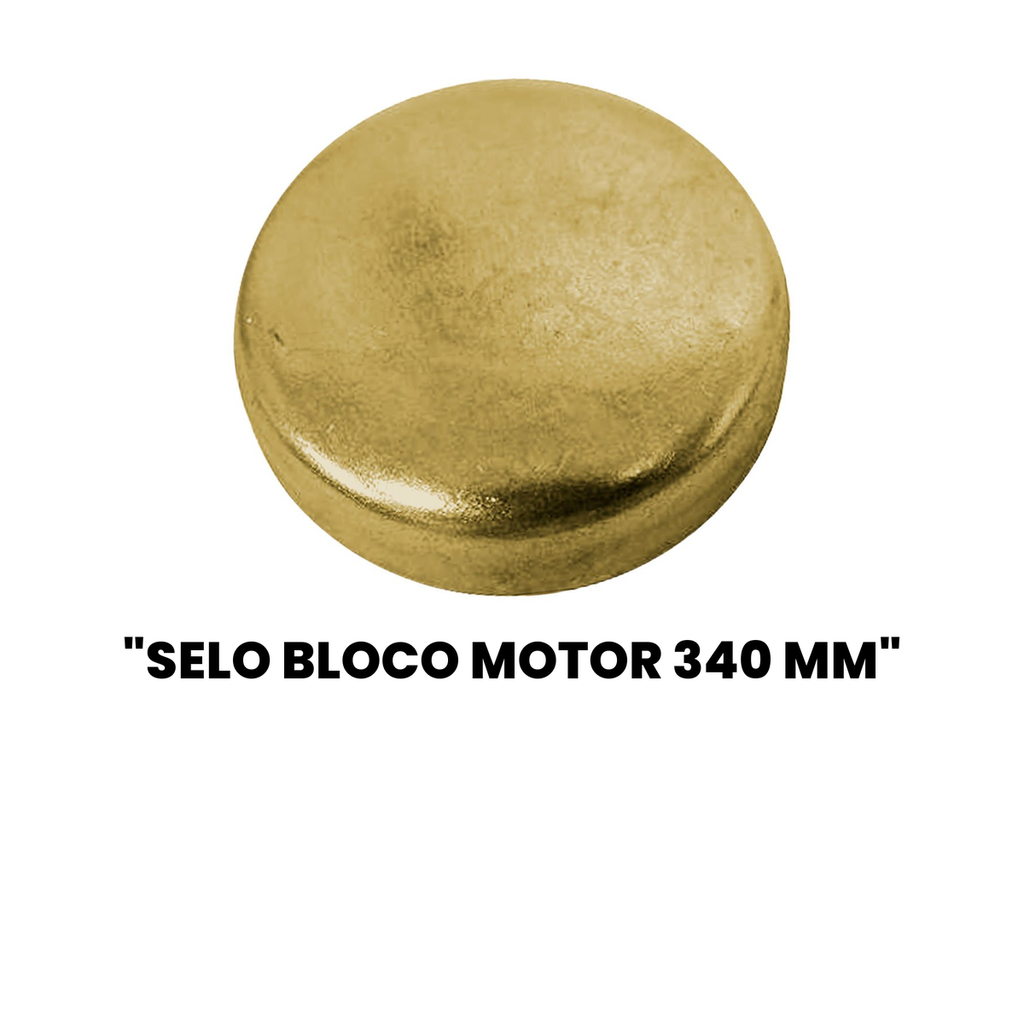 Selo do Bloco do Motor 340 MM Monza Monza - Imagem 2