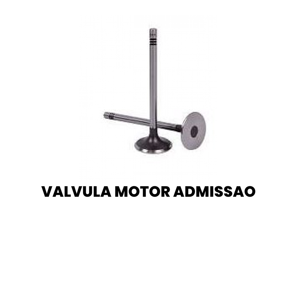 Válvula Admissão Motor Cargo/Constellation 2008-15 - Imagem 2