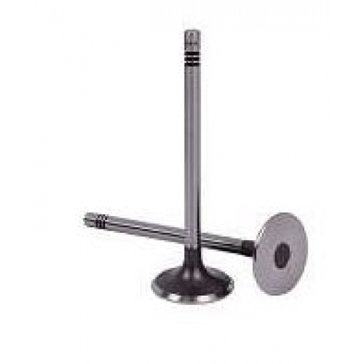 Válvula Admissão Motor Cargo/Constellation 2008-15