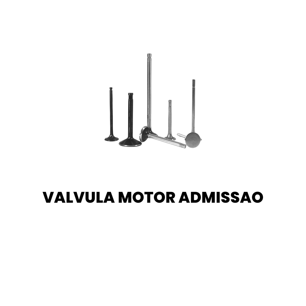 Válvula Motor Admissão Cargo/Constellation 2000-2008 - Imagem 2