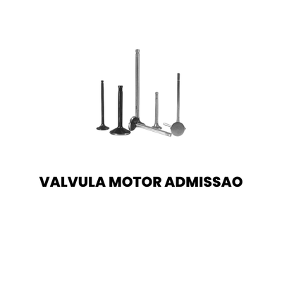 Válvula Motor Admissão Cargo/Constellation 2000-2008 - Imagem 2
