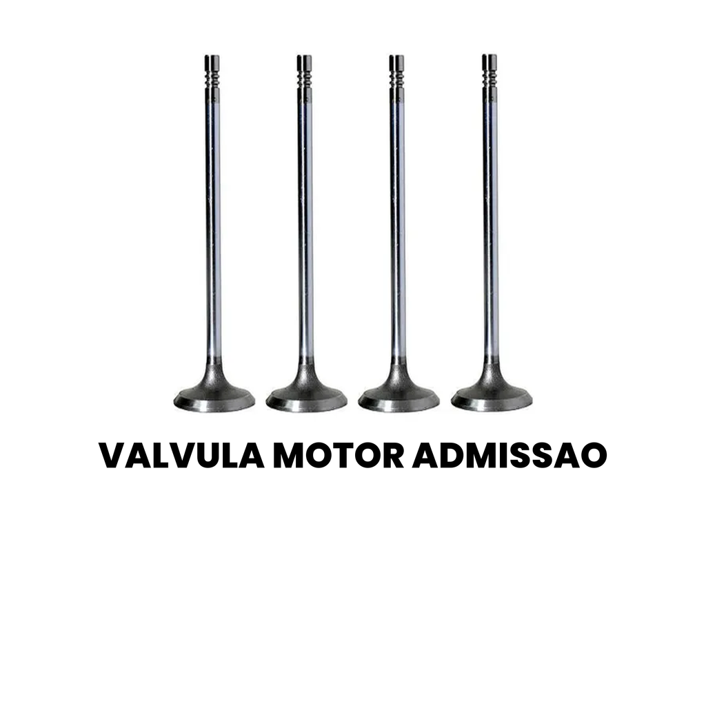 VALVULA MOTOR ADMISSAO Cargo 815/1119/1317 99-08 - Imagem 2