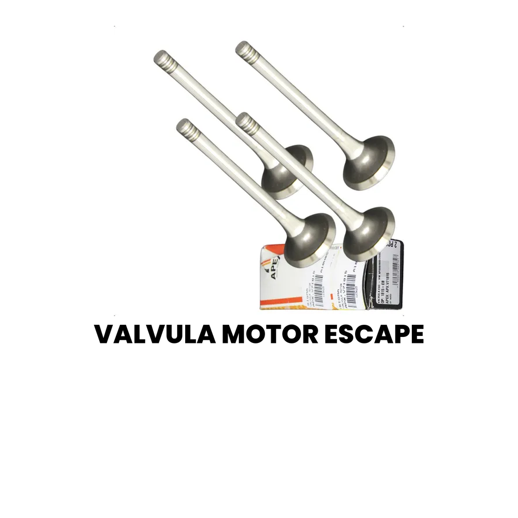 VALVULA ESCAPE MOTOR AP600/800/2000 90/91 - Imagem 2
