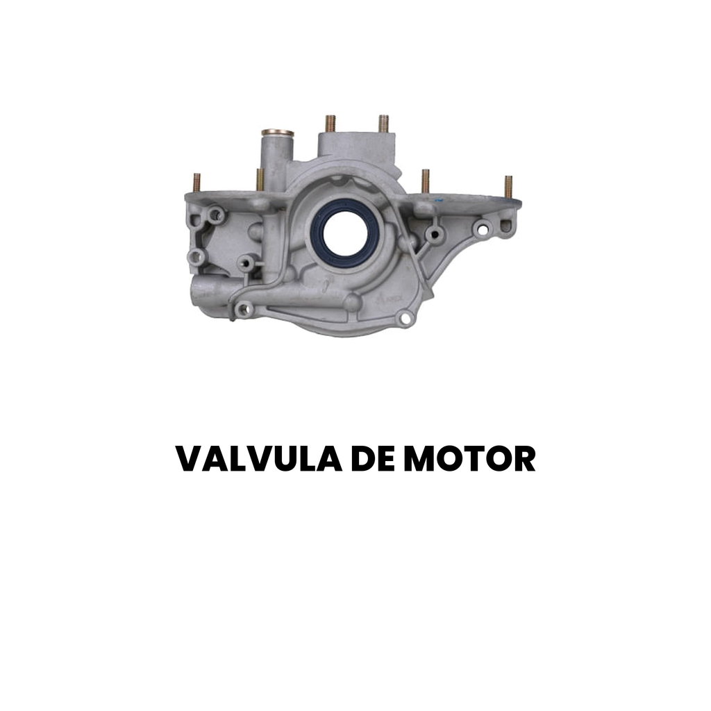 Válvula Motor Cargo/Constellation 2000-2009 - Imagem 2