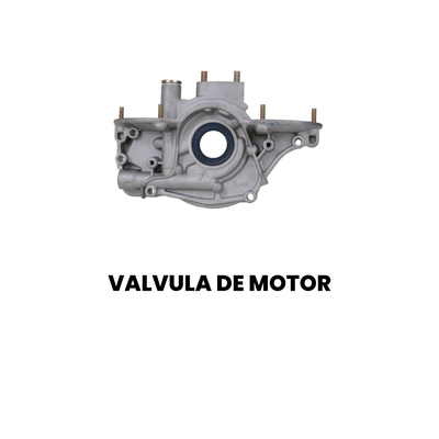 Válvula Motor Cargo/Constellation 2000-2009 - Imagem 2