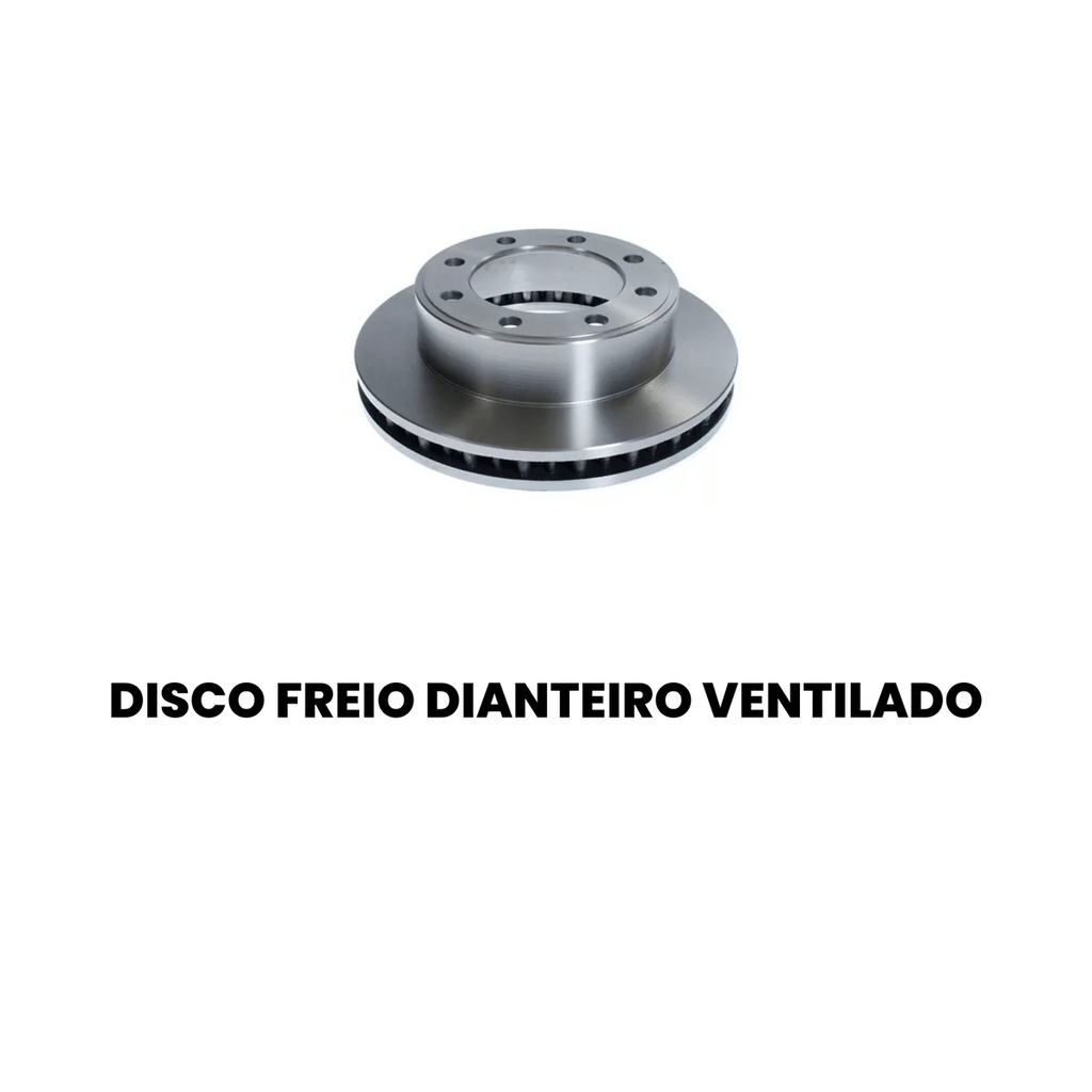 DISCO FREIO DIANTEIRO VENTILADO FORD BD4002 - Imagem 2