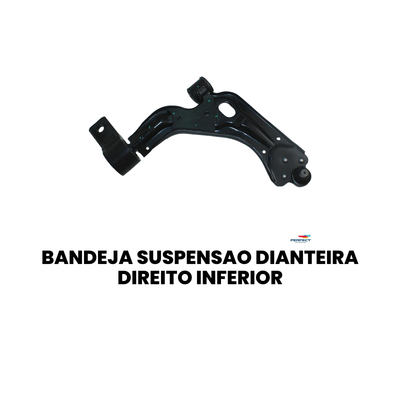 Bandeja Suspensão Dianteira Dir. Inferior Fiesta - Imagem 2