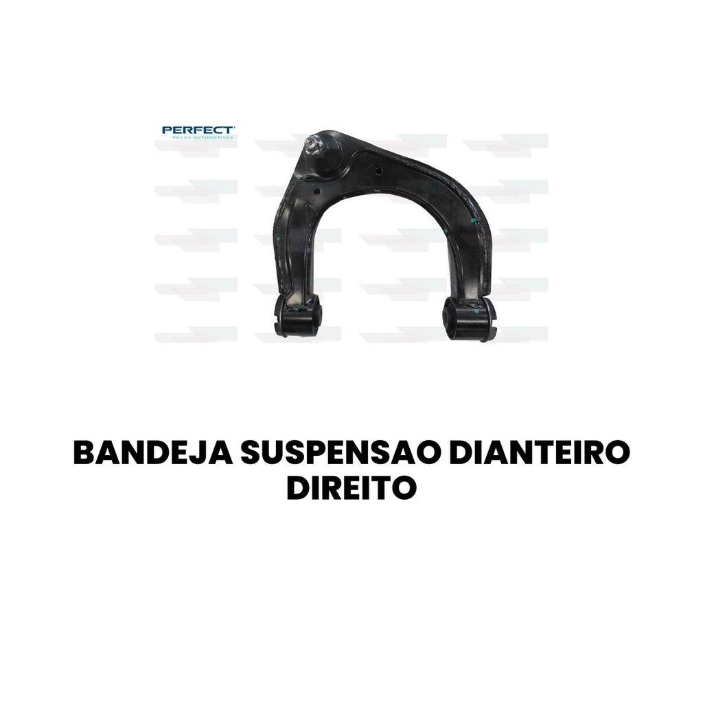 Bandeja de Suspensão Dianteira Dir. PERFECT Ranger - Imagem 2