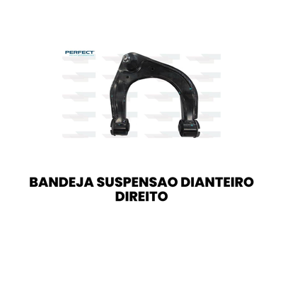 Bandeja de Suspensão Dianteira Dir. PERFECT Ranger - Imagem 2