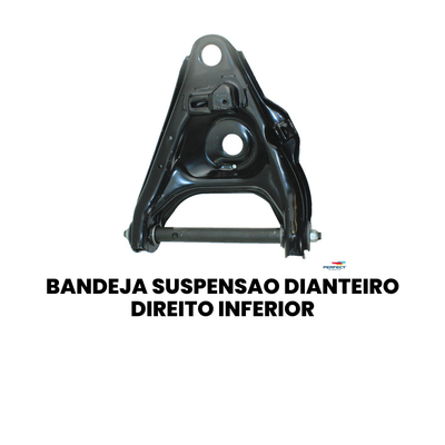 Bandeja Suspensão Diant. Dir. Inferior A-10 D-20 - Imagem 2