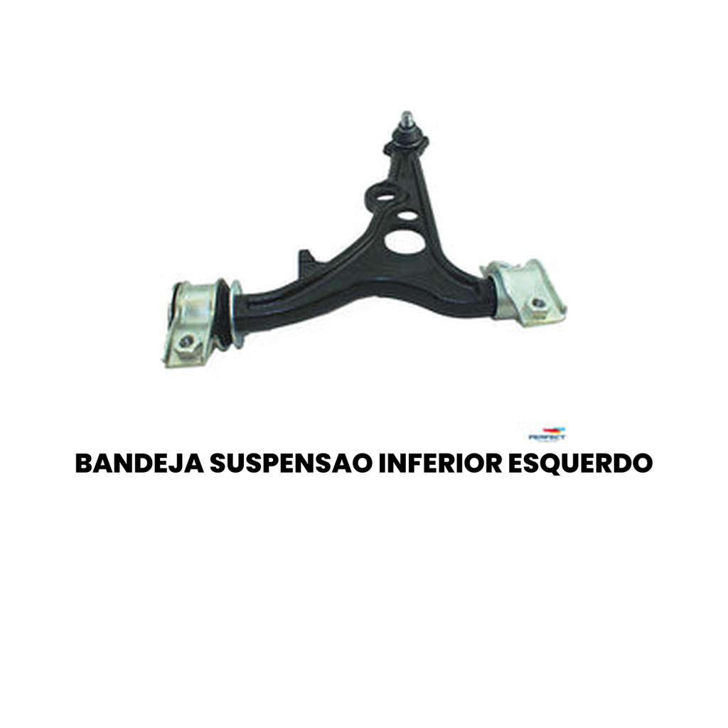 Bandeja Suspensão Inferior Esquerda BRAVA 155 - Imagem 2