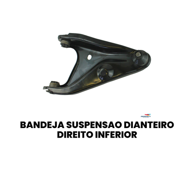Bandeja Suspensão Dianteira Dir. Inferior Sandero - Imagem 2