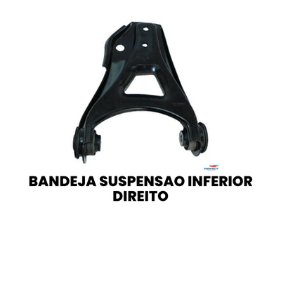 Bandeja Suspensão Inferior Direito - Clio Clio - Imagem 2