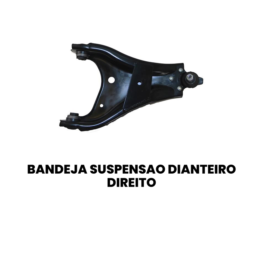 Bandeja de Suspensão Dianteira Direito DUSTER PERFECT - Imagem 2