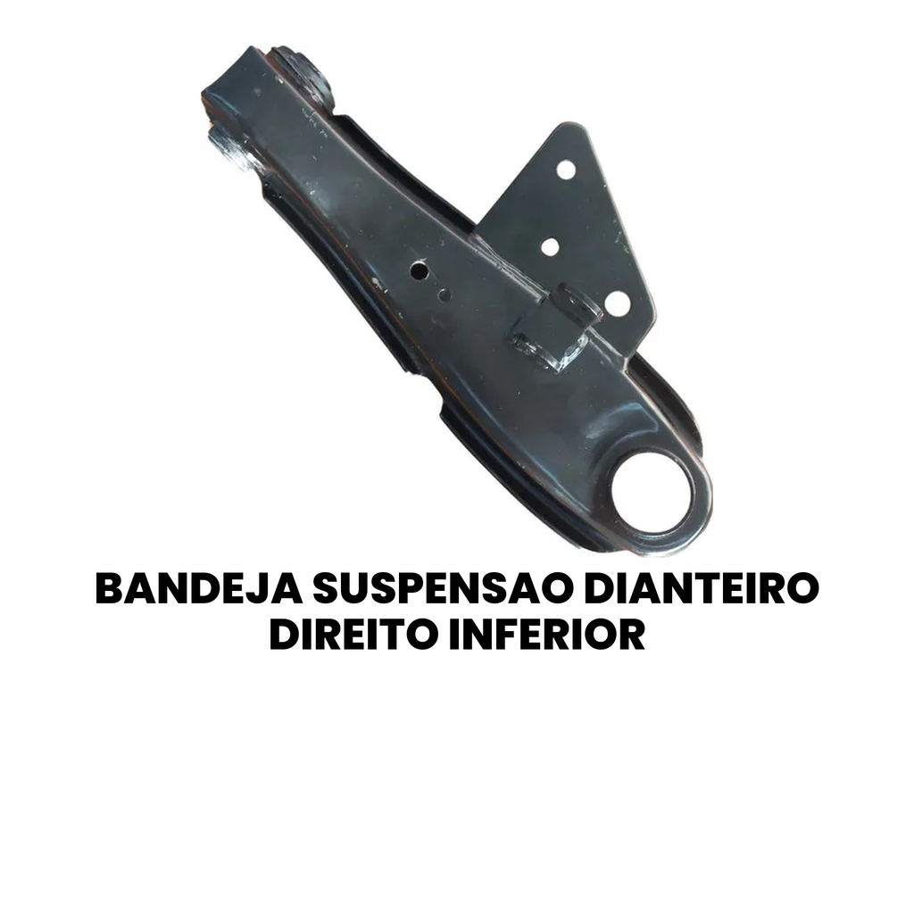 Bandeja Suspensão Dianteira Cargo/Constellation 2000-2010 - Imagem 2