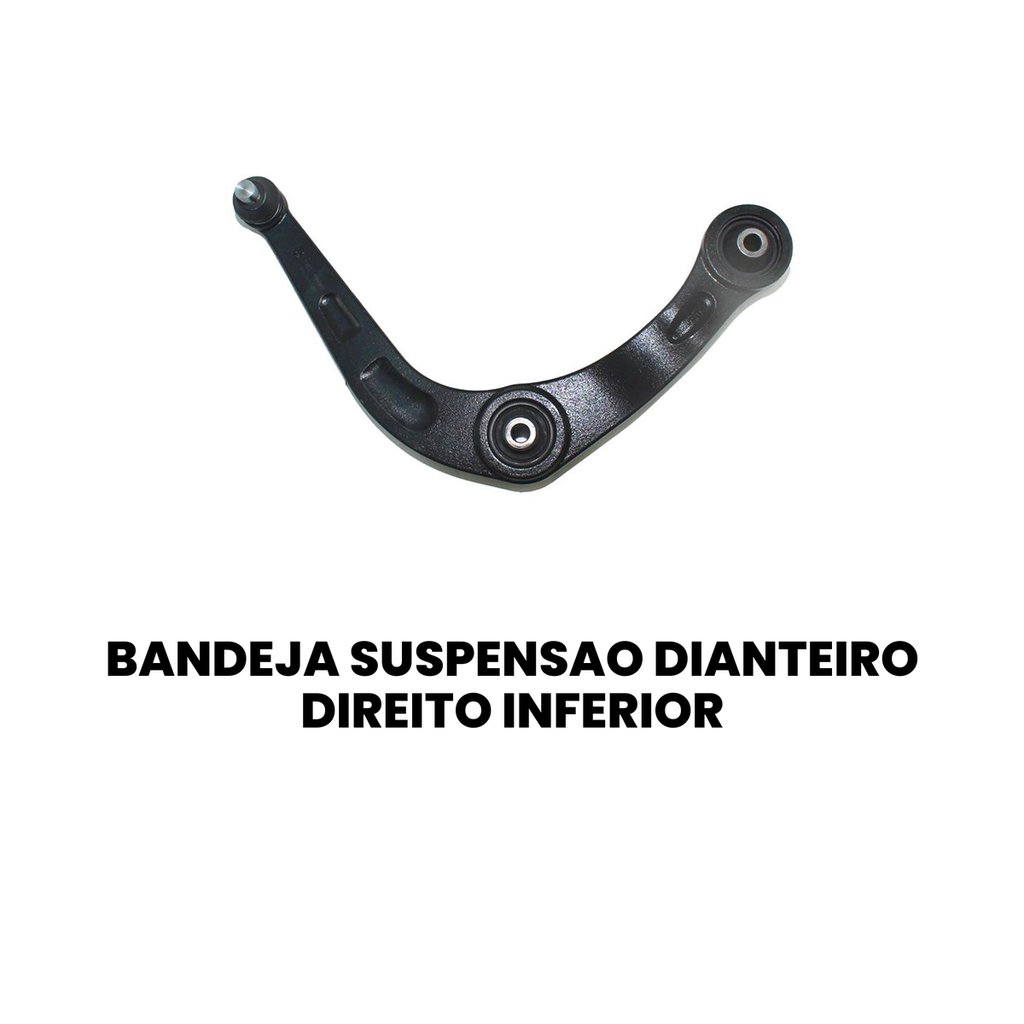 Bandeja Suspensão Dianteira Dir. Inferior Hoggar 207 - Imagem 2