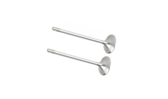 VALVULA ESCAPE MOTOR AP600/800/2000 90/91