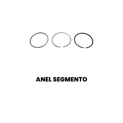 Anel Segmento VW 17.280 Constellation Original - Imagem 2