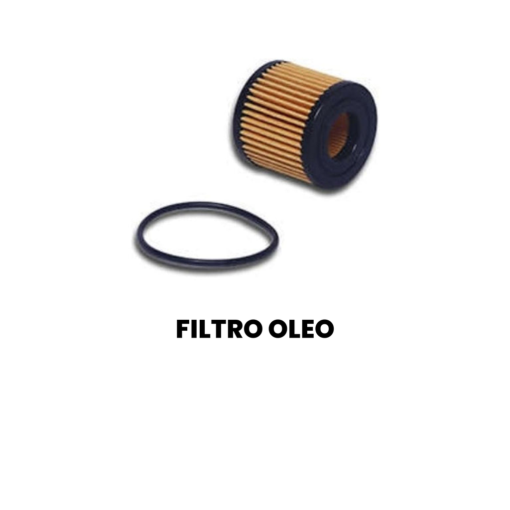 FILTRO OLEO Cargo 2000-2010 - Imagem 2