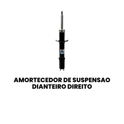 AMORTECEDOR DE SUSPENSÃO DIANTEIRO DIREITO/ESQUERDO RENAULT HG-41272 - Imagem 2