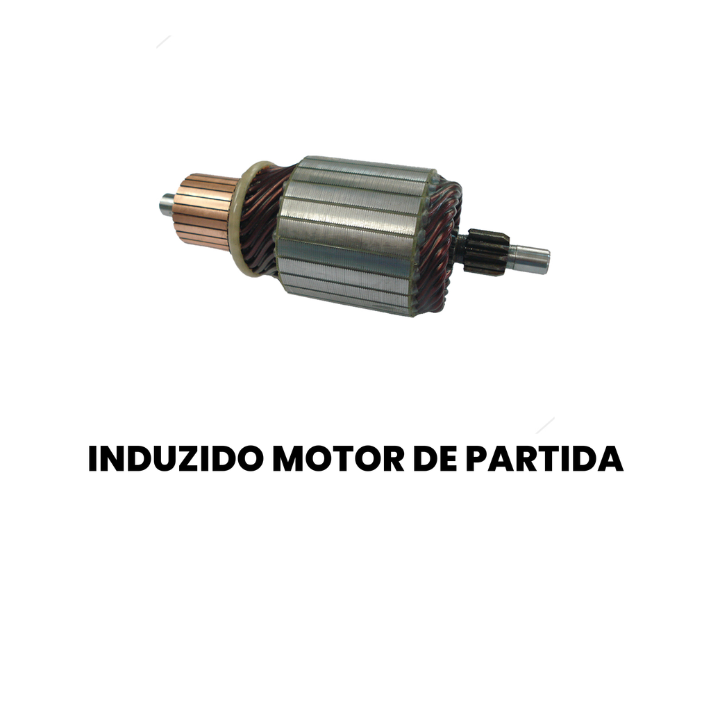 Induzido Motor Partida Cargo 815-1519 (98-09) - Imagem 2
