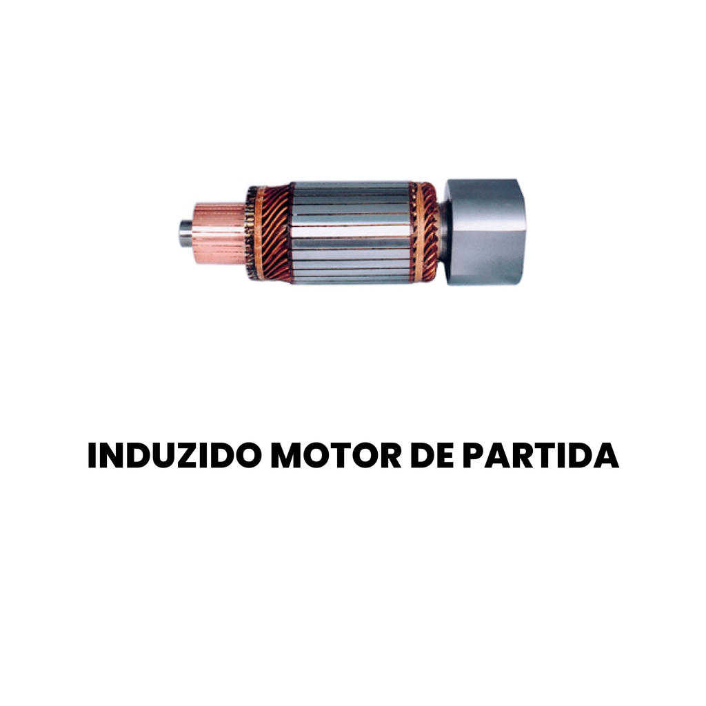 INDUZIDO MOTOR PARTIDA Cargo 2000-2008 - Imagem 2