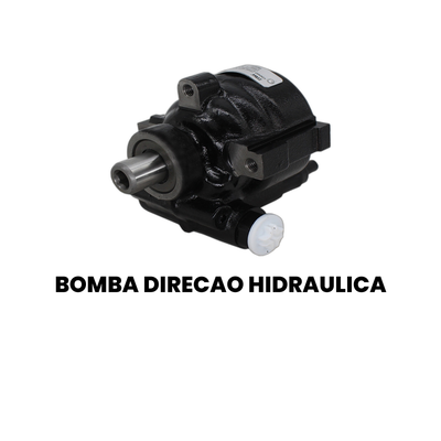 Bomba de Direção Hidráulica TRW - Megane Clio - Imagem 2