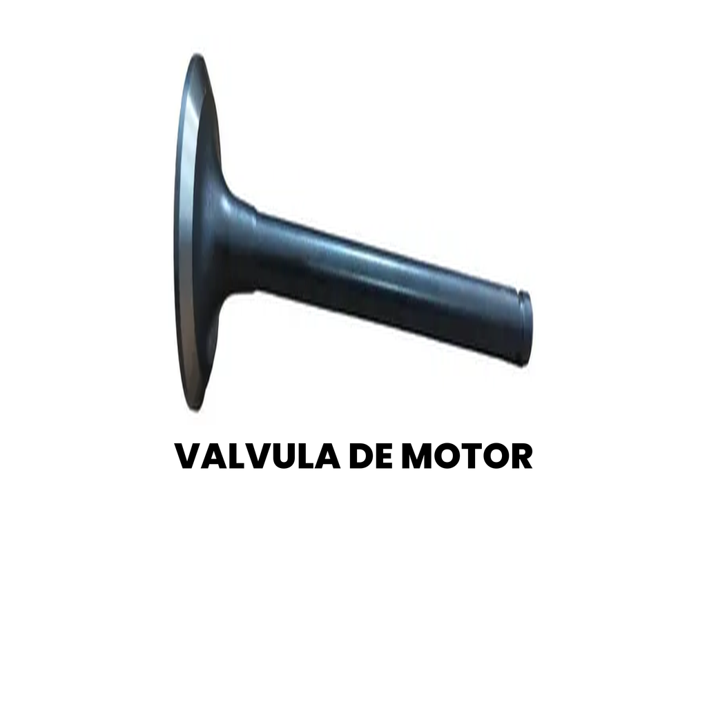 VALVULA DE MOTOR Cargo 2000-2010 - Imagem 2