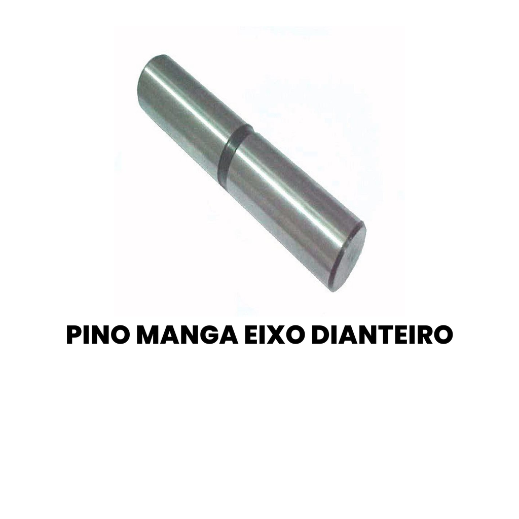 PINO MANGA EIXO DIANTEIRO Cargo 2000-2009 - Imagem 2