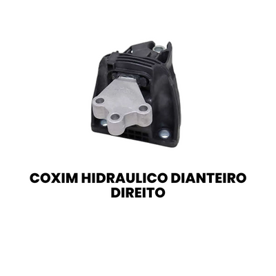 COXIM HIDRAULICO DIANTEIRO DIREITO FORD MB2360 - Imagem 2