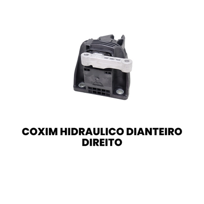 COXIM HIDRÁULICO DIANTEIRO DIREITO FORD MB2368 - Imagem 2
