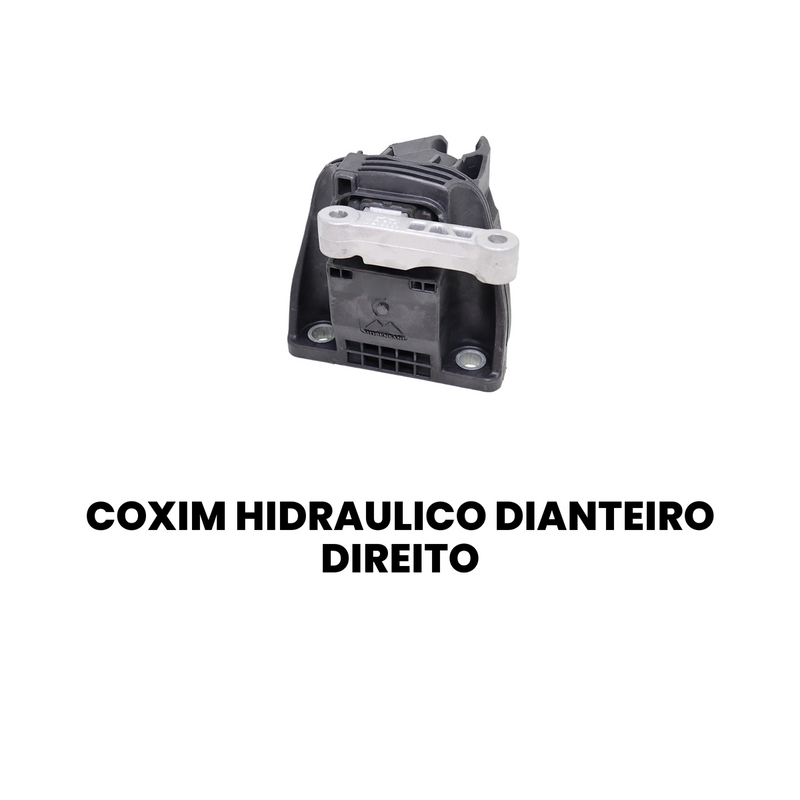 Coxim Hidráulico Diant Dir Ford Fiesta Sedan 2011-2019 - Imagem 2