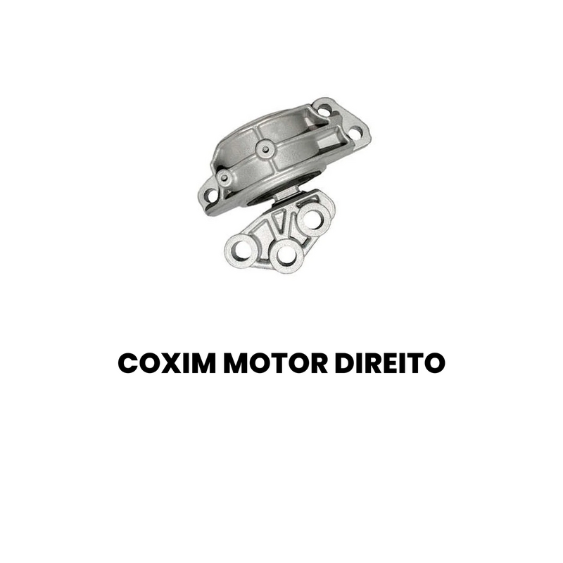 Coxim Motor Dir Fiat Punto 2013 2014 2015 2016 2017 - Imagem 2