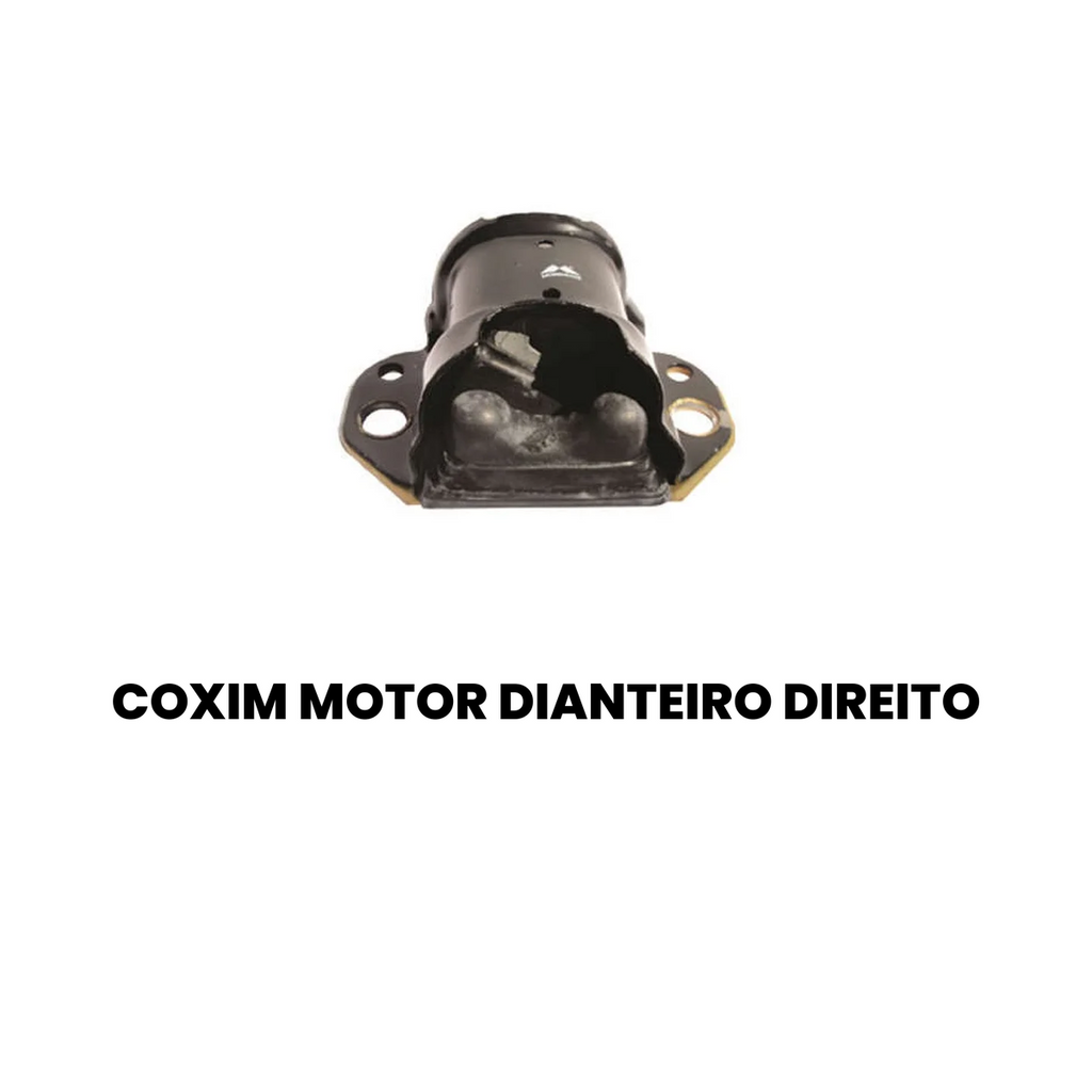COXIM MOTOR DIANTEIRO DIREITO RENAULT MB9051 - Imagem 2