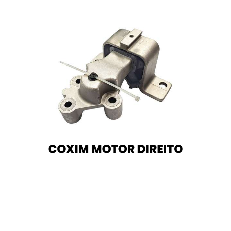 Coxim Motor Dir Fiat Punto Attractive Elx Mec 1.4 8v - Imagem 2