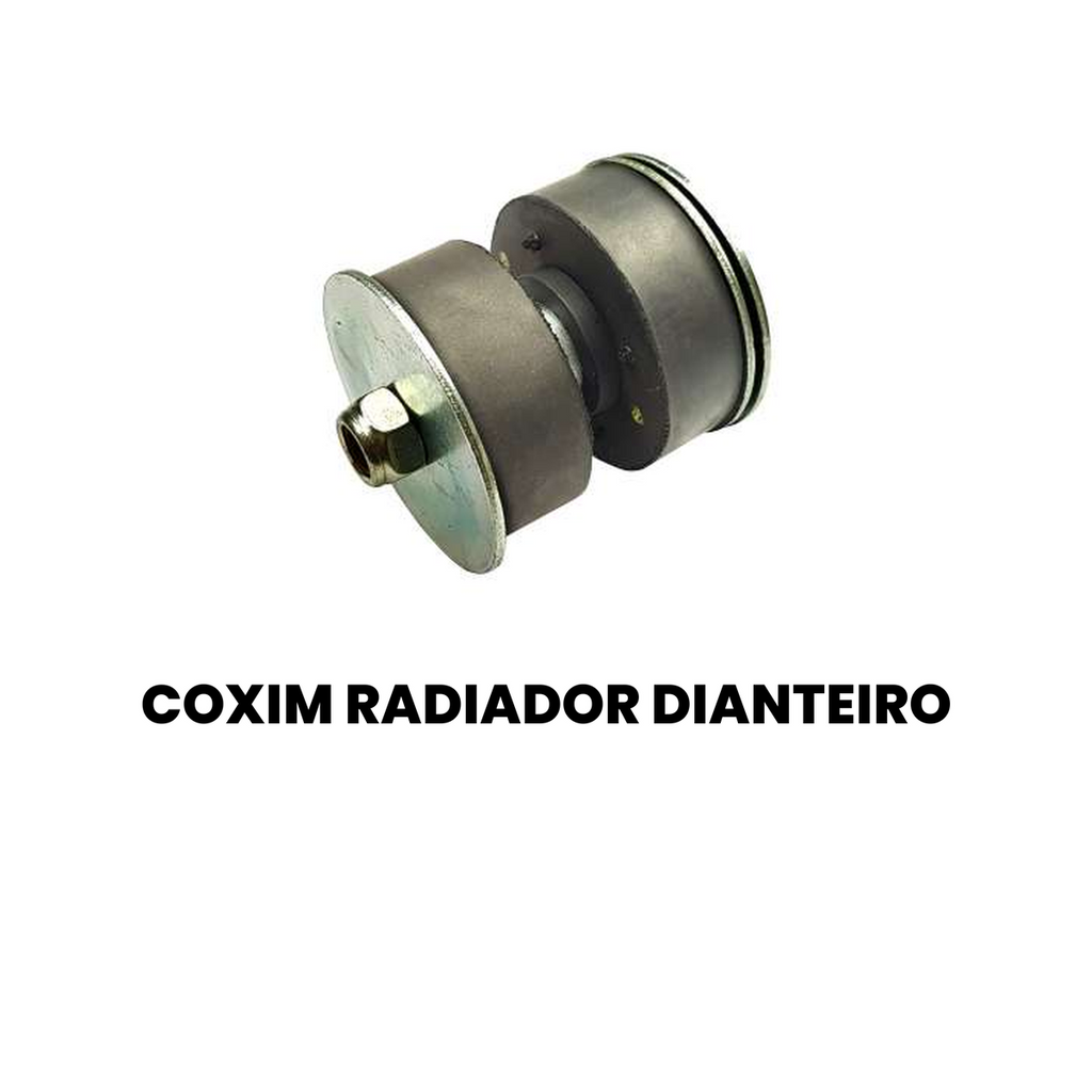 COXIM RADIADOR DIANTEIRO FORD NB42002 - Imagem 2