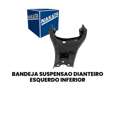 Bandeja Suspensão Dianteira Esquerda Inferior Duster - Imagem 2
