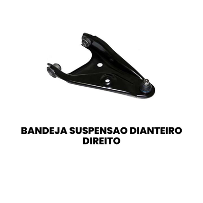Bandeja Suspensão Dianteira Direita Inferior Sandero - Imagem 2