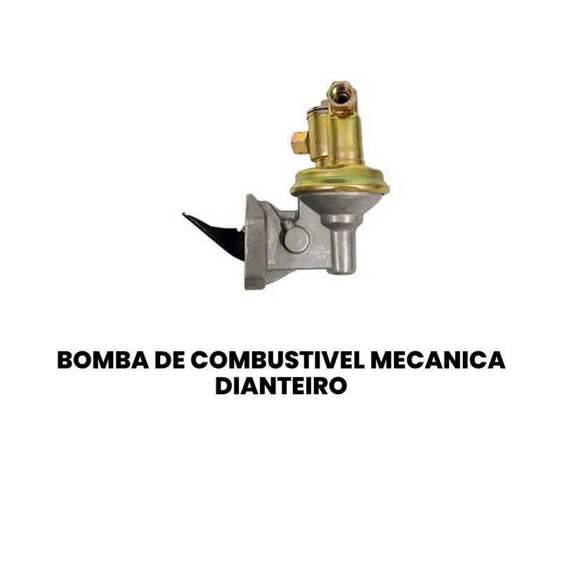 Bomba Combustível Mecânica Dianteira Chevrolet D10 79-85 D40 - Imagem 2