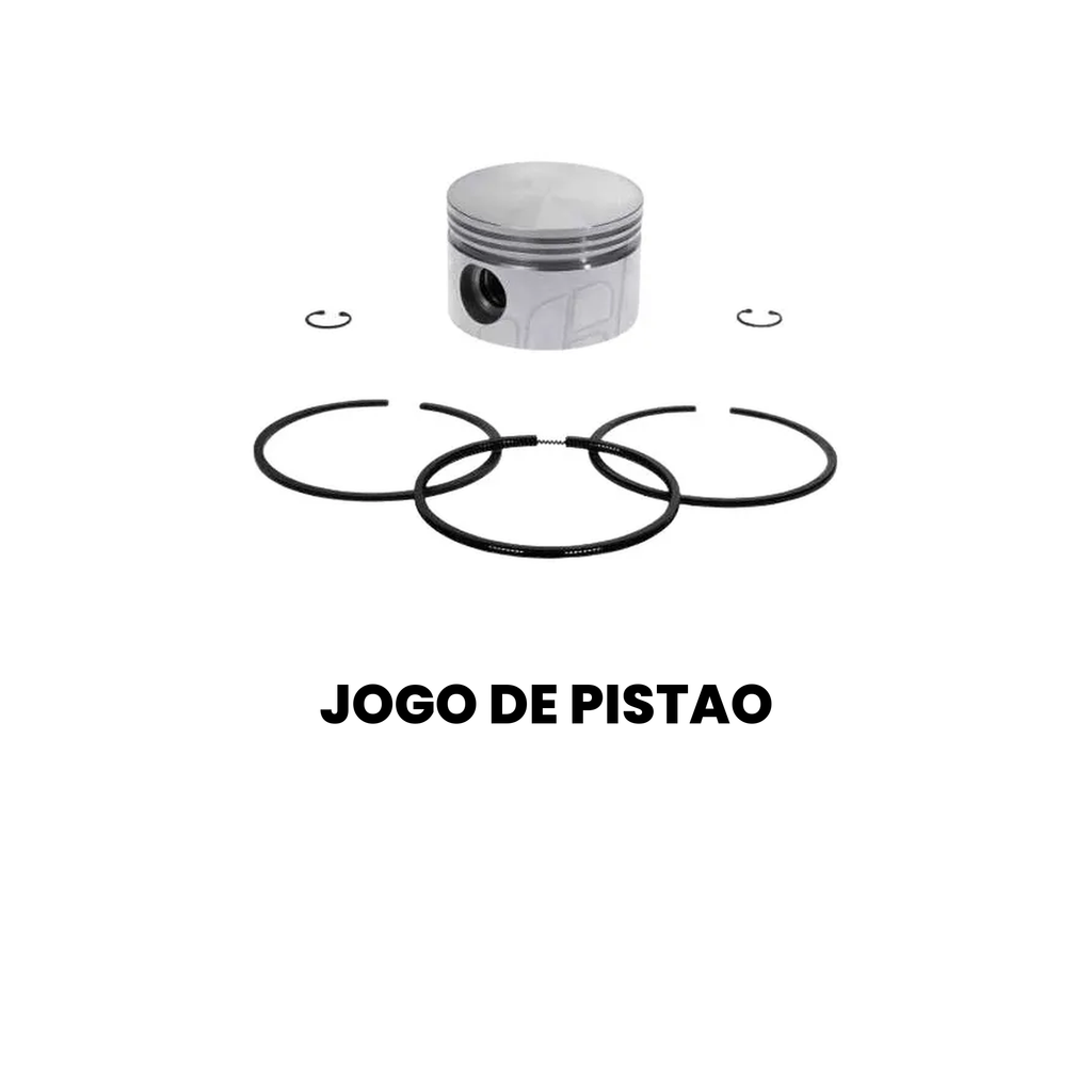Jogo de Pistão Cargo/Constellation 2000-2010 - Imagem 2