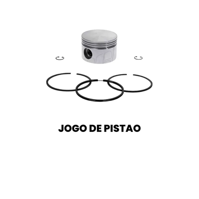 Jogo de Pistão Cargo/Constellation 2000-2010 - Imagem 2