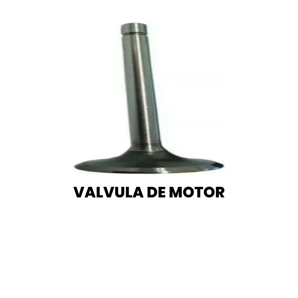 Válvula Motor Cargo/Constellation 2000-2011 - Imagem 2