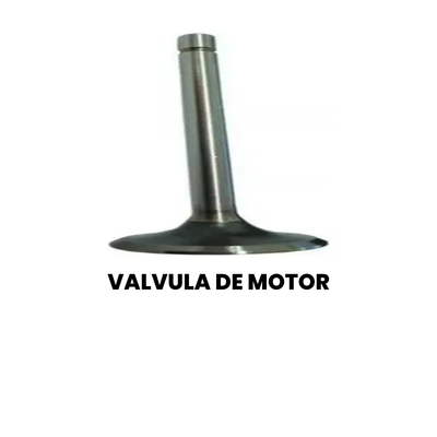 Válvula Motor Cargo/Constellation 2000-2011 - Imagem 2