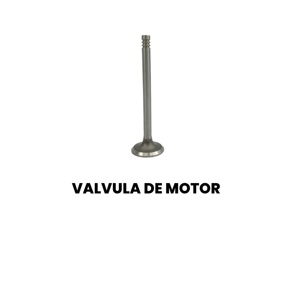 VALVULA DE MOTOR Cargo 815/1317/15190 98-11 - Imagem 2